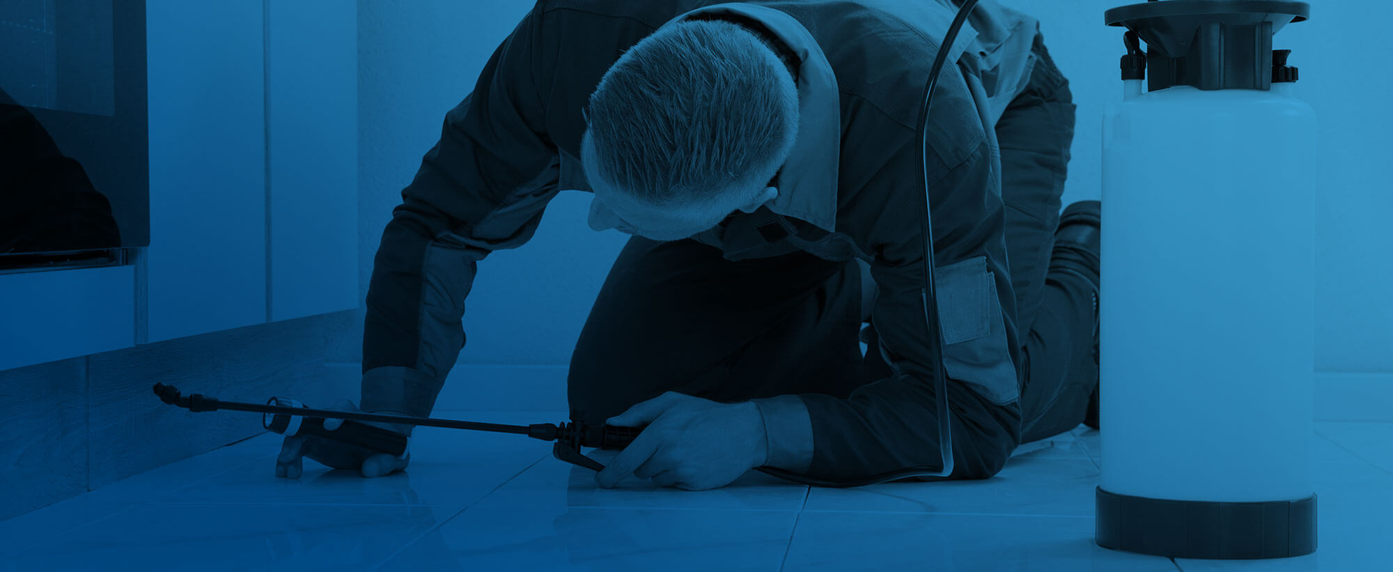 United Building Maintenance | Pest Control
